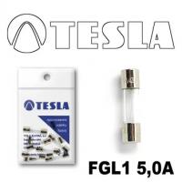 FGL1 5А Предохранители  Tesla (10шт) стекло